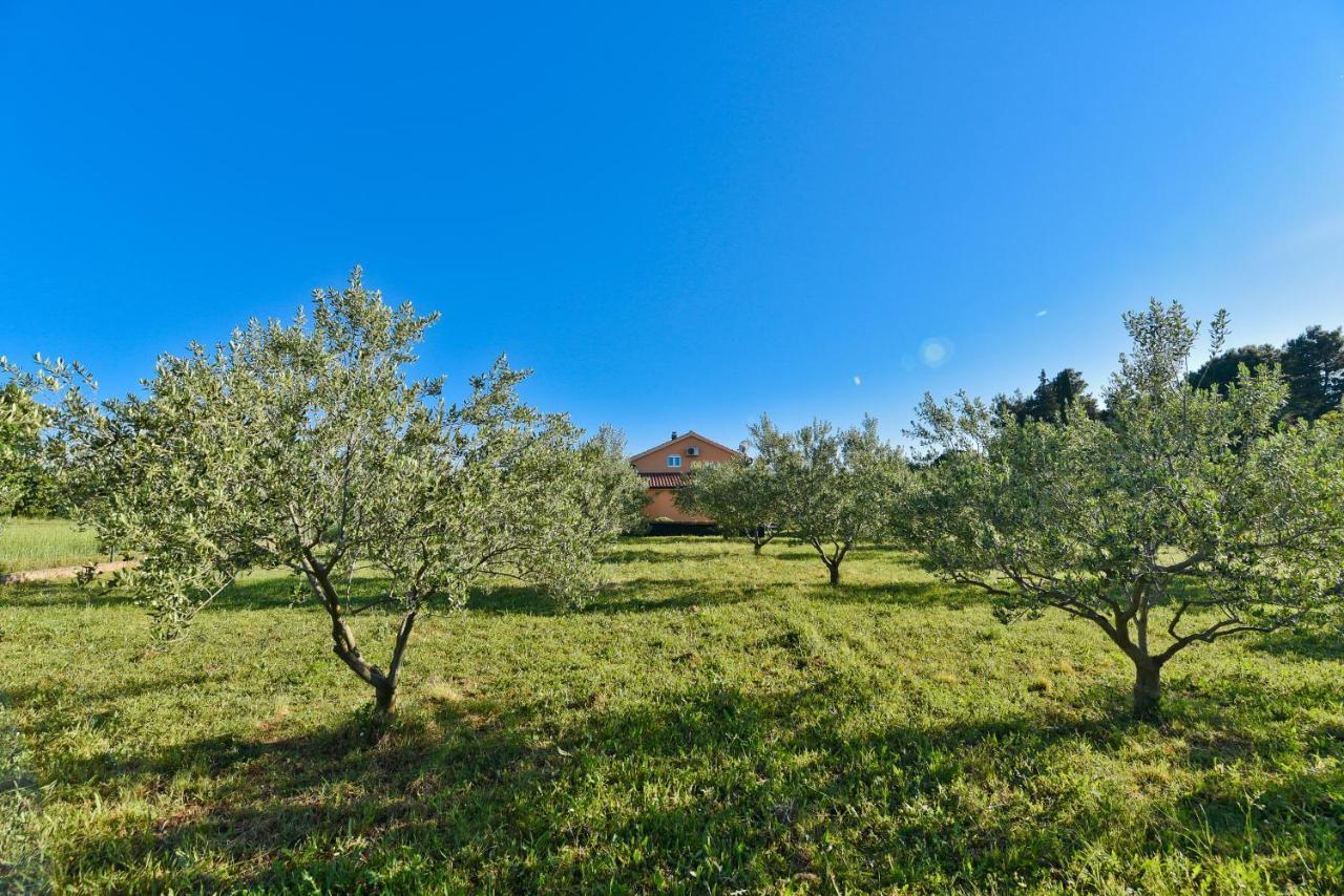 Holiday Home Taras Smilcic エクステリア 写真