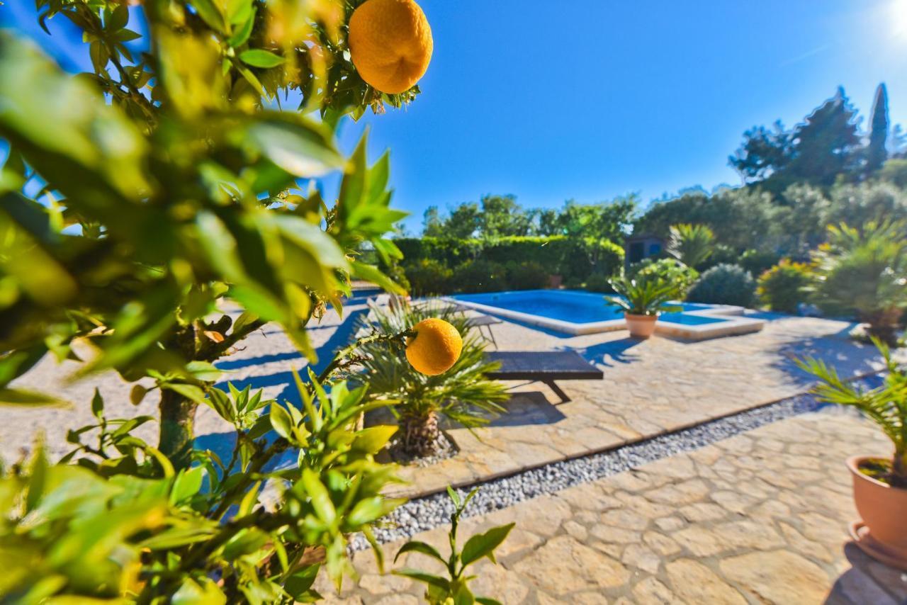 Holiday Home Taras Smilcic エクステリア 写真